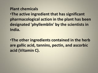 Plant chemicals
•The active ingredient that has significant
pharmacological action in the plant has been
designated 'phyllemblin' by the scientists in
India.
•The other ingredients contained in the herb
are gallic acid, tannins, pectin, and ascorbic
acid (Vitamin C).
 