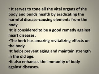 • It serves to tone all the vital organs of the
body and builds health by eradicating the
harmful disease-causing elements from the
body.
•It is considered to be a good remedy against
heart diseases.
•The herb has amazing revitalizing effects on
the body.
•It helps prevent aging and maintain strength
in the old age.
•It also enhances the immunity of body
against diseases.
 