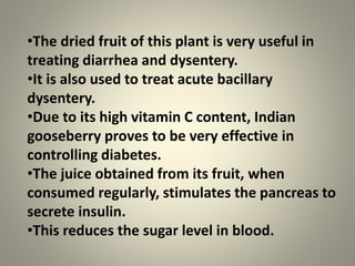 •The dried fruit of this plant is very useful in
treating diarrhea and dysentery.
•It is also used to treat acute bacillary
dysentery.
•Due to its high vitamin C content, Indian
gooseberry proves to be very effective in
controlling diabetes.
•The juice obtained from its fruit, when
consumed regularly, stimulates the pancreas to
secrete insulin.
•This reduces the sugar level in blood.
 