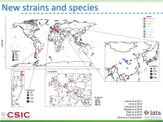 New strains and species
Libkind et al 2011
Liti et al 2013
Leducq et al 2016
Naseeb et al 2018
Peter et al 2018
Duan et al 2018
Peris et al In preparation
 