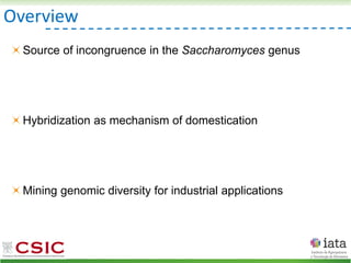 Overview
Source of incongruence in the Saccharomyces genus
Hybridization as mechanism of domestication
Mining genomic diversity for industrial applications
 
