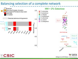 Balancing selection of a complete network
Asia A
Asia B
EU1
Hittinger et al 2010 Nature
MM + 2% Galactose
S. cerevisiae
S. paradoxus
S. mikatae
S. kudriavzevii
S. arboricola
S. uvarum
S. eubayanus
 