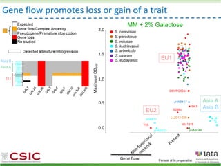 EU1
MM + 2% Galactose
Gene flow promotes loss or gain of a trait
EU2
Asia A
Asia B
Peris et al In preparation
S. cerevisiae
S. paradoxus
S. mikatae
S. kudriavzevii
S. arboricola
S. uvarum
S. eubayanus
 
