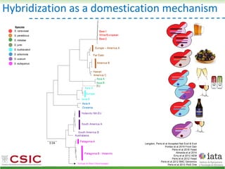 S. cerevisiae
S. paradoxus
S. mikatae
S. jurei
S. kudriavzevii
S. arboricola
S. uvarum
S. eubayanus
Species
Hybridization as a domestication mechanism
Langdon, Peris et al Accepted Nat Ecol & Evol
Pontes et al 2019 Front Gen
Peris et al 2018 Yeast
Almeida et al 2014
Erny et al 2012 AEM
Peris et al 2012 Yeast
Peris et al 2012 BMC Genomics
Peris et al 2012 PloS One
 