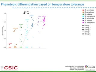 Phenotypic differentiation based on temperature tolerance
Group 1
Group 2
Group 3
Group 4
Group 5
S. cerevisiae
S. paradoxus
S. mikatae
S. kudriavzevii
S. arboricola
S. uvarum
S. eubayanus
Gonçalves et al 2011 PloS ONE
Salvadó et al 2011 AEM
Peris et al In preparation
 