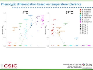 Phenotypic differentiation based on temperature tolerance
Group 1
Group 2
Group 3
Group 4
Group 5
S. cerevisiae
S. paradoxus
S. mikatae
S. kudriavzevii
S. arboricola
S. uvarum
S. eubayanus
Gonçalves et al 2011 PloS ONE
Salvadó et al 2011 AEM
Peris et al In preparation
 