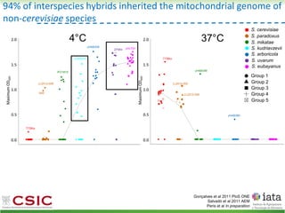 94% of interspecies hybrids inherited the mitochondrial genome of
non-cerevisiae species
Group 1
Group 2
Group 3
Group 4
Group 5
S. cerevisiae
S. paradoxus
S. mikatae
S. kudriavzevii
S. arboricola
S. uvarum
S. eubayanus
Gonçalves et al 2011 PloS ONE
Salvadó et al 2011 AEM
Peris et al In preparation
 