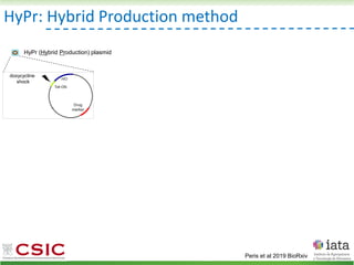 Peris et al 2019 BioRxiv
HyPr (Hybrid Production) plasmid
doxycycline
shock
HyPr: Hybrid Production method
 