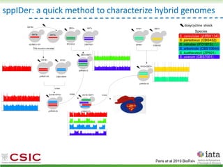 sppIDer: a quick method to characterize hybrid genomes
Peris et al 2019 BioRxiv
 