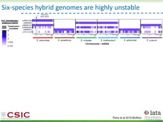 Six-species hybrid genomes are highly unstable
Peris et al 2019 BioRxiv
 
