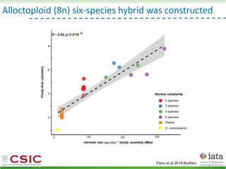 Alloctoploid (8n) six-species hybrid was constructed
Peris et al 2019 BioRxiv
 