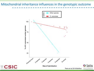 Mitochondrial inheritance influences in the genotypic outcome
mtDNA
S. cerevisiae
Other species
Step of hybridization
100
75
50
25
%
of
S.
cerevisiae
nuclear
genome
Peris et al 2019 BioRxiv
 