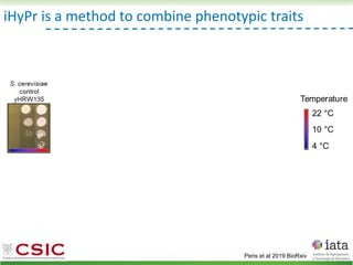 iHyPr is a method to combine phenotypic traits
Peris et al 2019 BioRxiv
 
