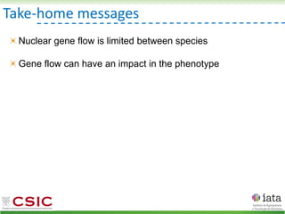Take-home messages
Nuclear gene flow is limited between species
Gene flow can have an impact in the phenotype
 