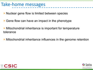 Take-home messages
Nuclear gene flow is limited between species
Gene flow can have an impact in the phenotype
Mitochondrial inheritance is important for temperature
tolerance
Mitochondrial inheritance influences in the genome retention
 