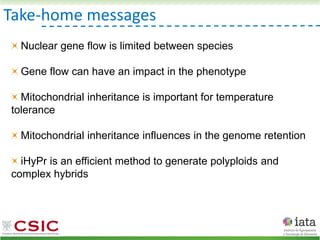 Take-home messages
Nuclear gene flow is limited between species
Gene flow can have an impact in the phenotype
Mitochondrial inheritance is important for temperature
tolerance
Mitochondrial inheritance influences in the genome retention
iHyPr is an efficient method to generate polyploids and
complex hybrids
 