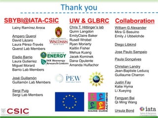 Lainy Ramírez Aroca
Amparo Querol
David Lázaro
Laura Pérez-Través
Querol Lab Members
Eladio Barrio
Laura Gutierrez
Miguel Morard
Barrio Lab Members
José Guillamón
Guillamón Lab Members
Sergi Puig
Sergi Lab Members
William G Alexander
Mira G Basuino
Emily J Ubbelohde
Diego Libkind
Jose Paulo Sampaio
Paula Gonçalves
Christian Landry
Jean-Baptiste Leducq
Guillaume Charron
Justin Fay
Katie Hyma
Li Xueying
Fengyan Bai
Qi Ming Wang
Ursula Bond
Chris T. Hittinger’s lab
Quinn Langdon
EmilyClaire Baker
Rusell Wrobel
Ryan Moriarty
Kaitlin Fisher
Mehua Kuang
Jacek Kominek
Dana Opulente
Amanda Hulfachor
UW & GLBRC Collaboration
SBYBI@IATA-CSIC
Thank you
 