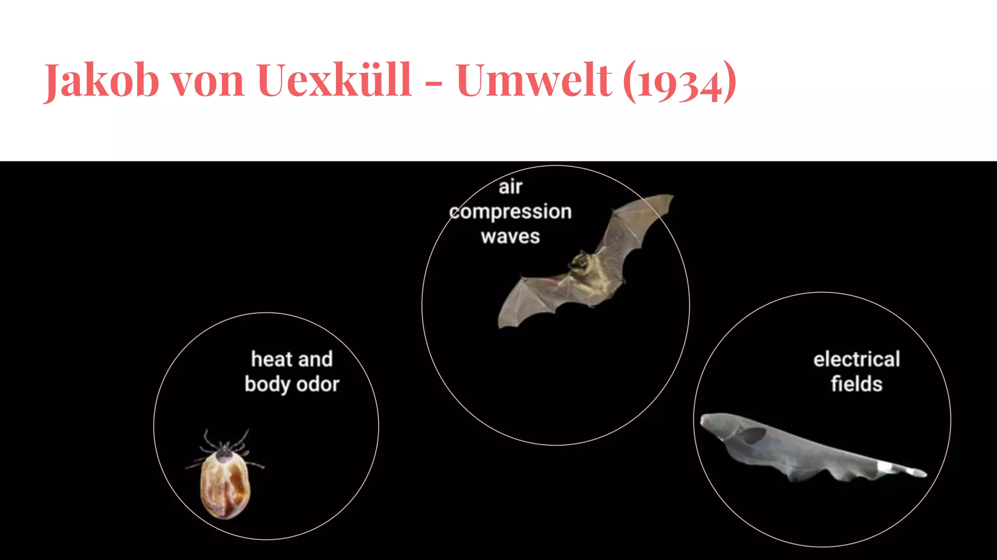 Jakob von Uexküll - Umwelt (1934)
 
