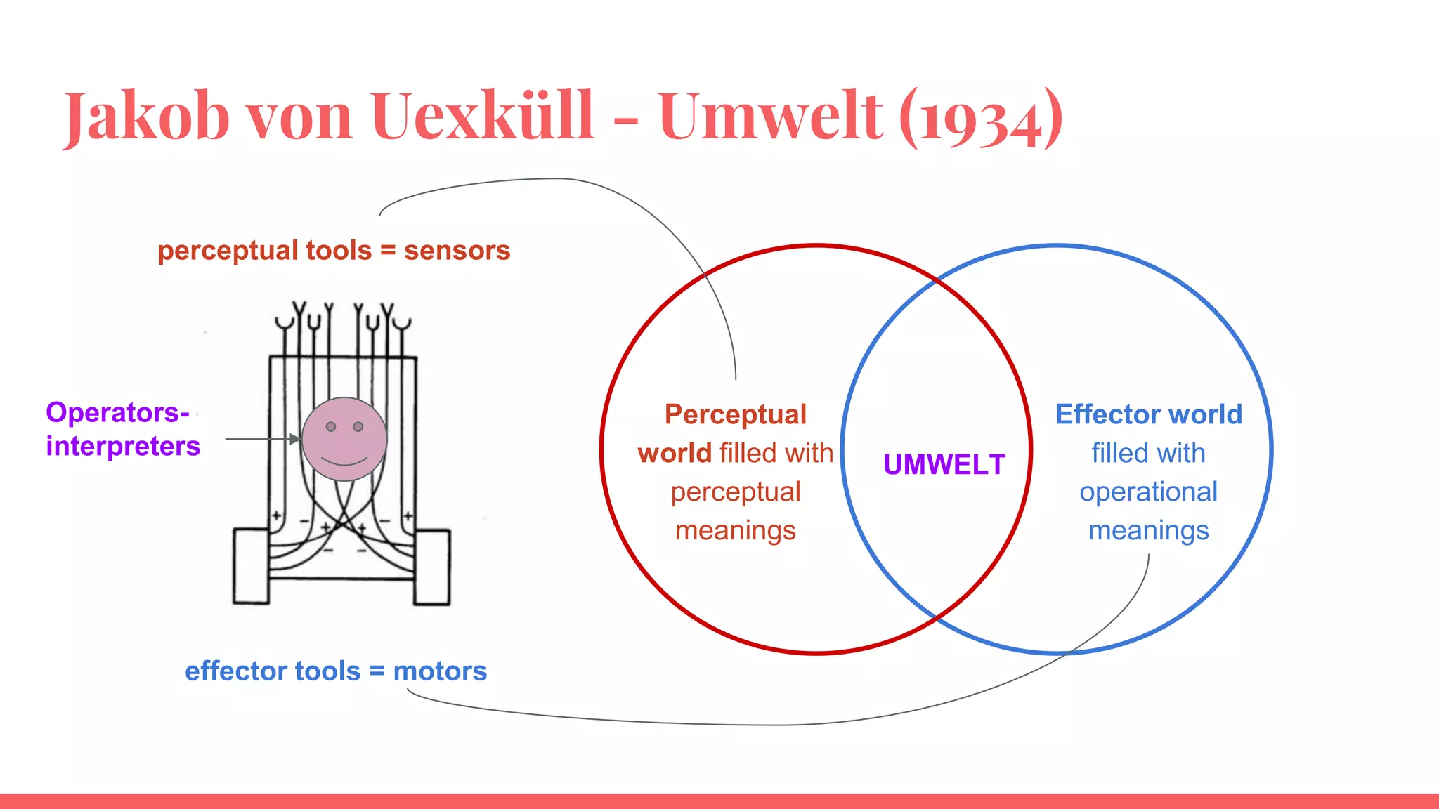 Jakob von Uexküll - Umwelt (1934)
perceptual tools = sensors
effector tools = motors
Perceptual
world filled with
perceptual
meanings
Effector world
filled with
operational
meanings
UMWELT
Operators-
interpreters
 