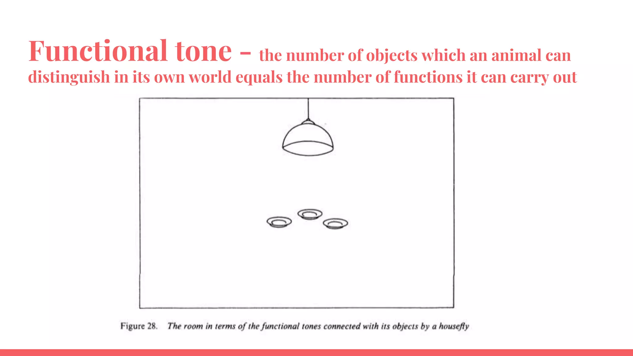 Functional tone - the number of objects which an animal can
distinguish in its own world equals the number of functions it can carry out
 