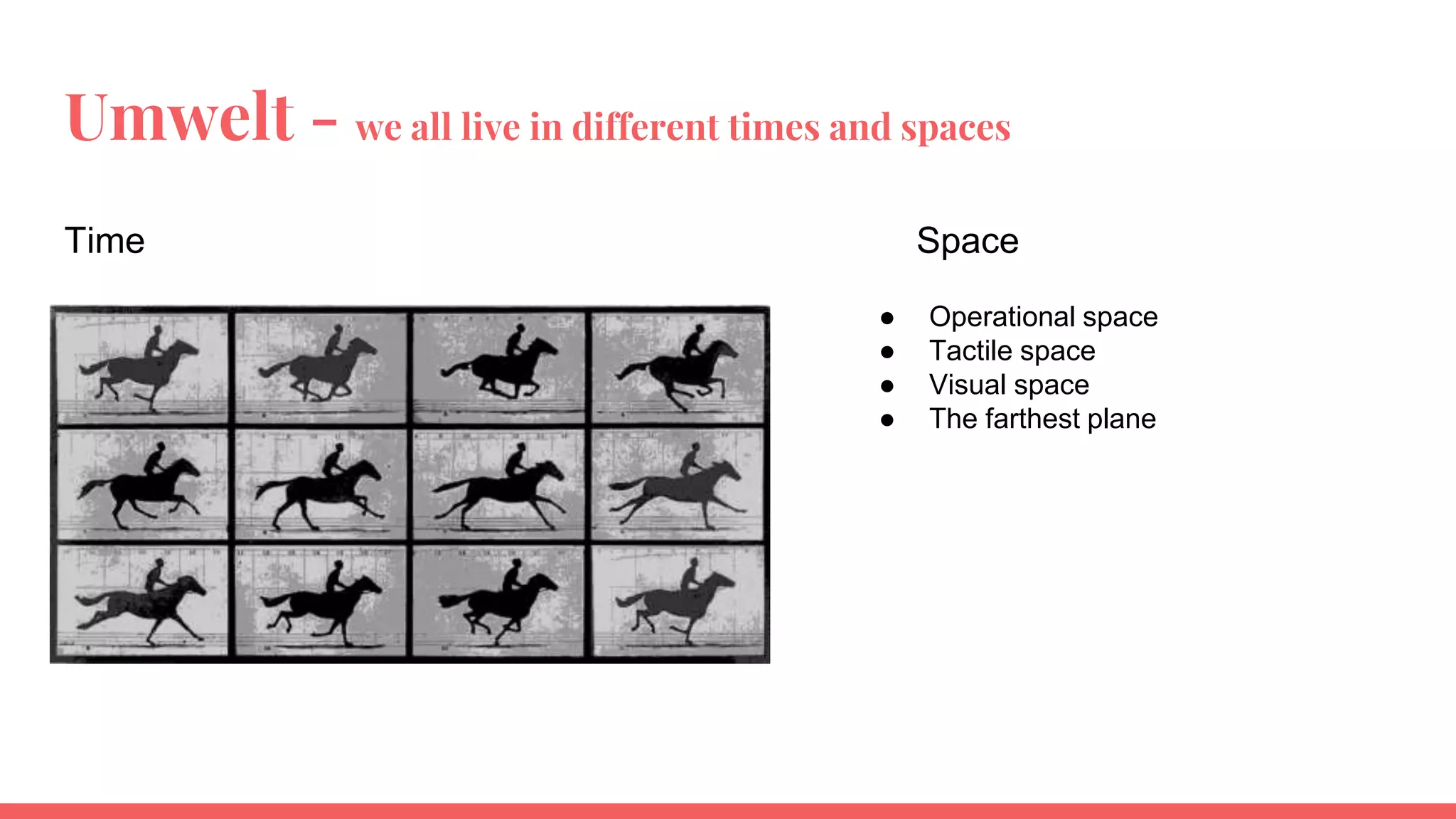 Umwelt - we all live in different times and spaces
● Operational space
● Tactile space
● Visual space
● The farthest plane
Time Space
 