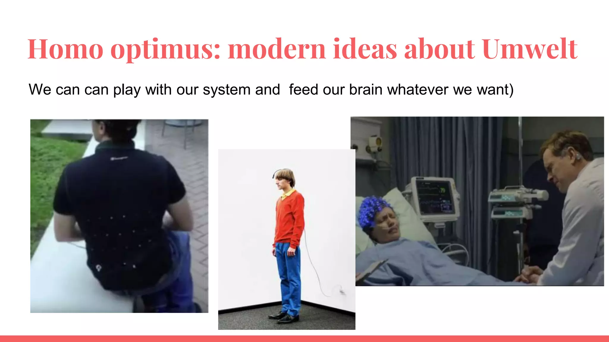 Homo optimus: modern ideas about Umwelt
We can can play with our system and feed our brain whatever we want)
 