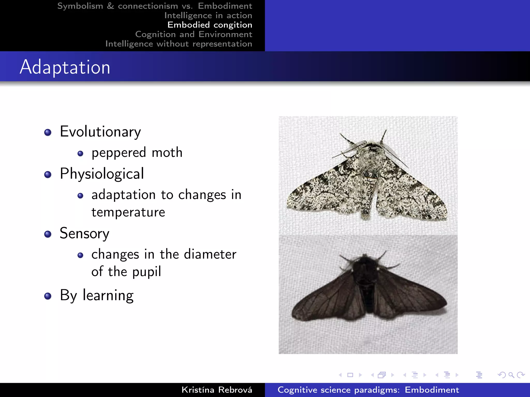 Symbolism & connectionism vs. Embodiment
Intelligence in action
Embodied congition
Cognition and Environment
Intelligence without representation
Adaptation
Evolutionary
peppered moth
Physiological
adaptation to changes in
temperature
Sensory
changes in the diameter
of the pupil
By learning
Kristína Rebrová Cognitive science paradigms: Embodiment
 