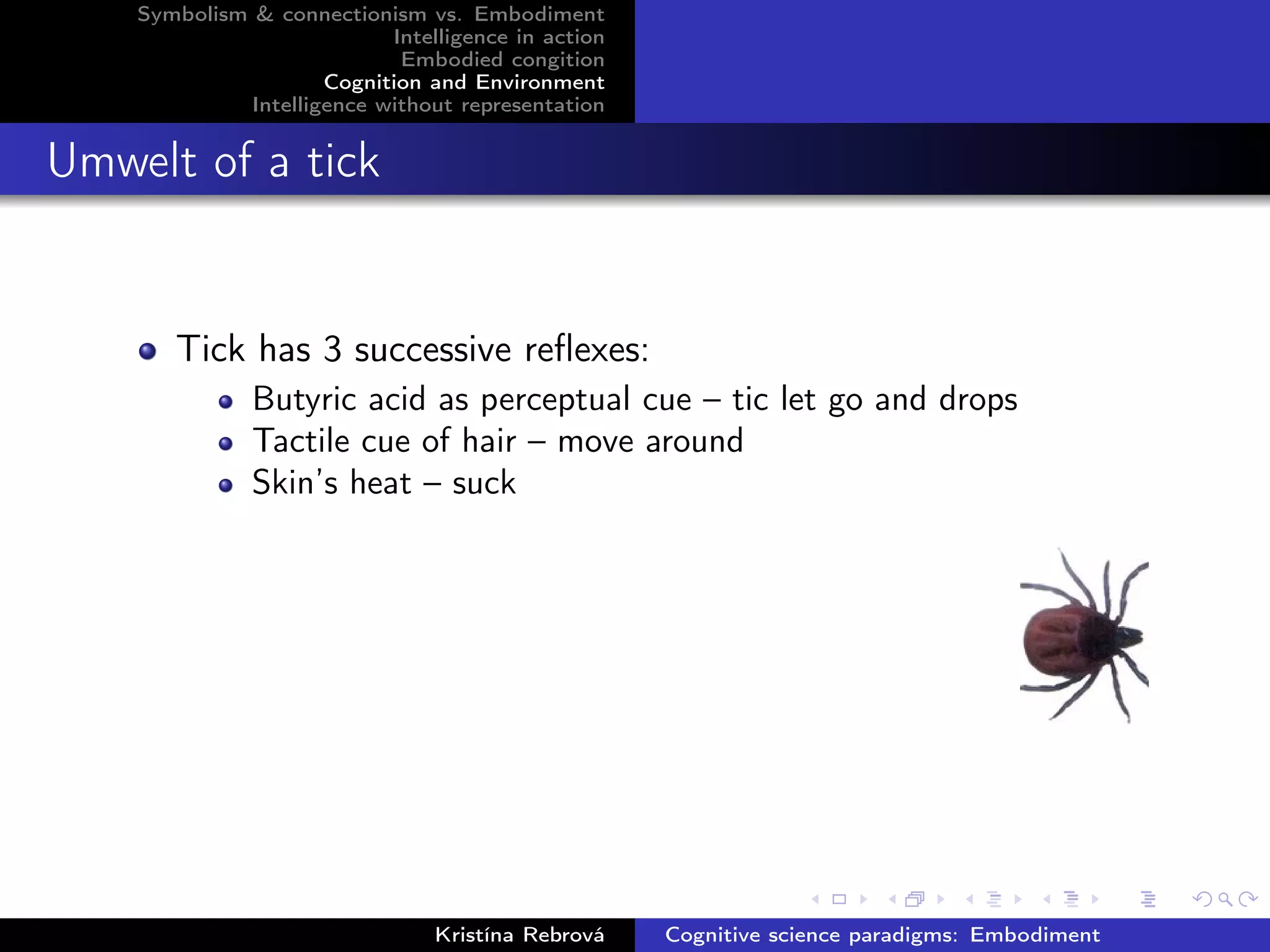 Symbolism & connectionism vs. Embodiment
Intelligence in action
Embodied congition
Cognition and Environment
Intelligence without representation
Umwelt of a tick
Tick has 3 successive reﬂexes:
Butyric acid as perceptual cue – tic let go and drops
Tactile cue of hair – move around
Skin’s heat – suck
Kristína Rebrová Cognitive science paradigms: Embodiment
 