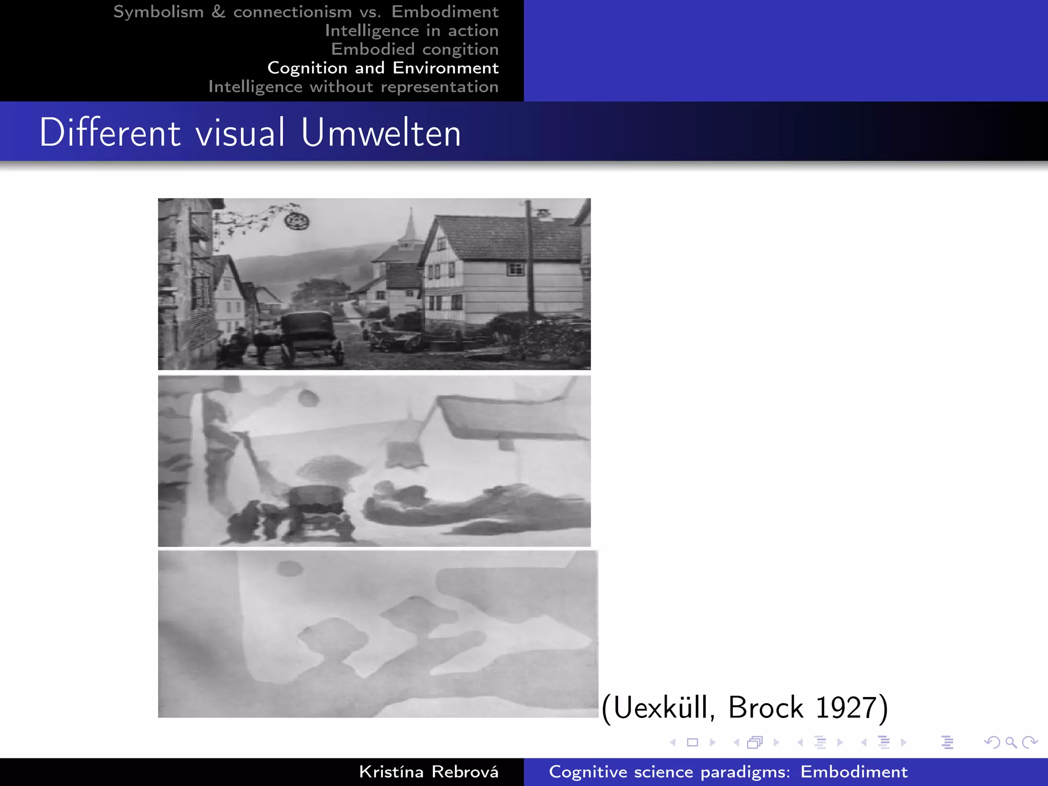 Symbolism & connectionism vs. Embodiment
Intelligence in action
Embodied congition
Cognition and Environment
Intelligence without representation
Diﬀerent visual Umwelten
(Uexküll, Brock 1927)
Kristína Rebrová Cognitive science paradigms: Embodiment
 