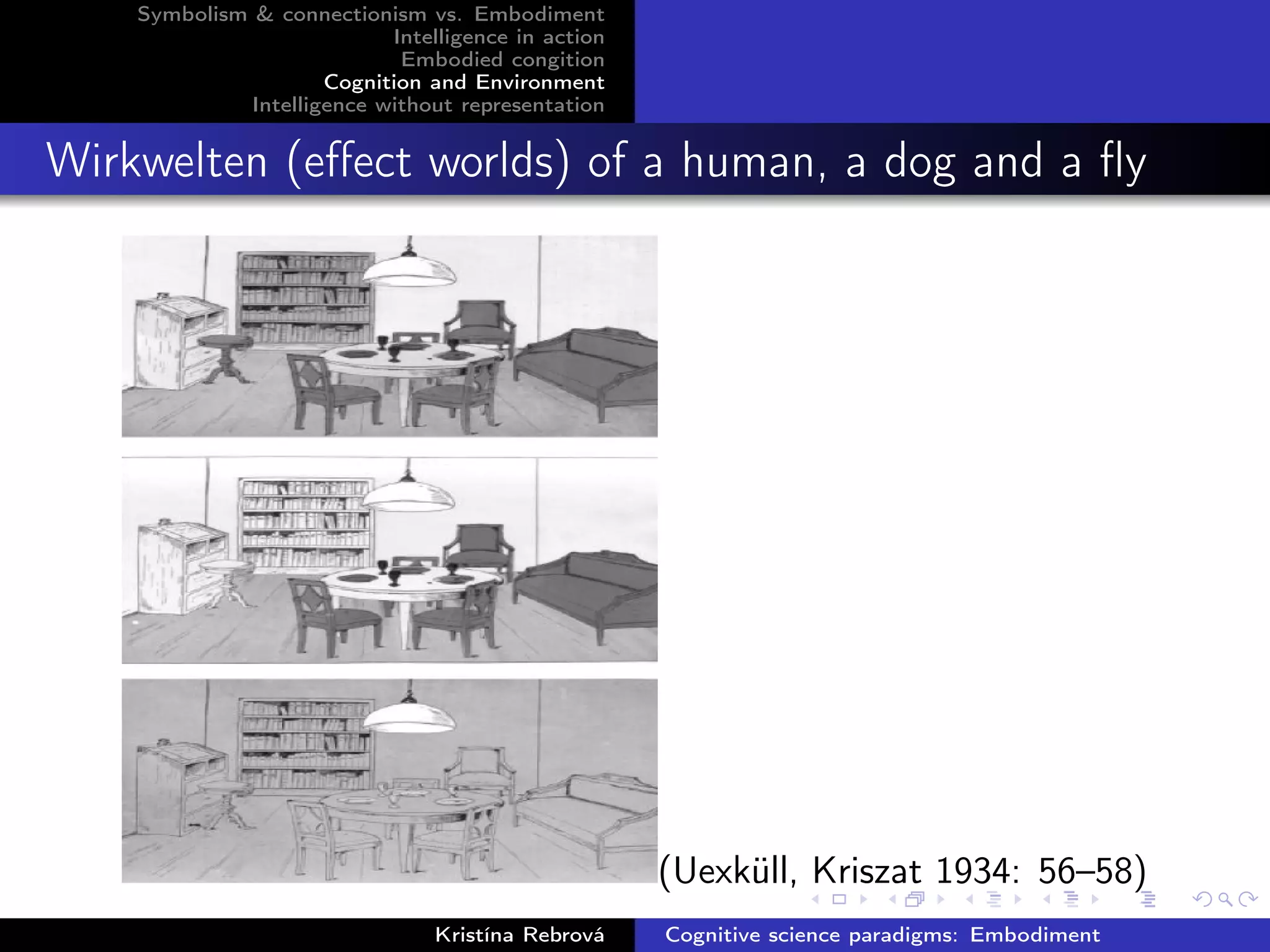 Symbolism & connectionism vs. Embodiment
Intelligence in action
Embodied congition
Cognition and Environment
Intelligence without representation
Wirkwelten (eﬀect worlds) of a human, a dog and a ﬂy
(Uexküll, Kriszat 1934: 56–58)
Kristína Rebrová Cognitive science paradigms: Embodiment
 