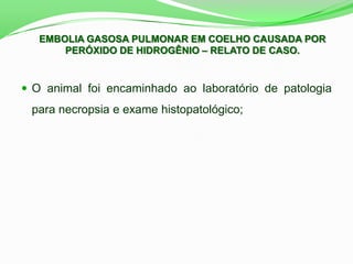  O animal foi encaminhado ao laboratório de patologia
para necropsia e exame histopatológico;
EMBOLIA GASOSA PULMONAR EM COELHO CAUSADA POR
PERÓXIDO DE HIDROGÊNIO – RELATO DE CASO.
 