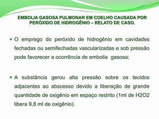 O emprego do peróxido de hidrogênio em cavidades
fechadas ou semifechadas vascularizadas e sob pressão
pode favorecer a ocorrência de embolia gasosa;
 A substância gerou alta pressão sobre os tecidos
adjacentes ao abscesso devido a liberação de grande
quantidade de oxigênio em espaço restrito (1ml de H2O2
libera 9,8 ml de oxigênio).
EMBOLIA GASOSA PULMONAR EM COELHO CAUSADA POR
PERÓXIDO DE HIDROGÊNIO – RELATO DE CASO.
 