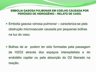  Embolia gasosa venosa pulmonar – caracteriza-se pela
obstrução microvascular causada por pequenas bolhas
na luz do vaso;
 Bolhas de ar podem ter sido formadas pela passagem
de H2O2 através dos espaços interepiteliais e do
endotélio capilar ou pela absorção do O2 liberado na
reação.
EMBOLIA GASOSA PULMONAR EM COELHO CAUSADA POR
PERÓXIDO DE HIDROGÊNIO – RELATO DE CASO.
 