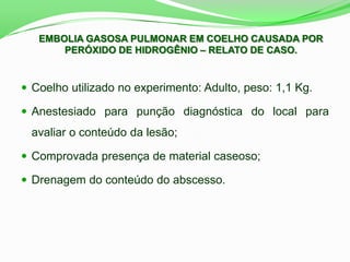 EMBOLIA GASOSA PULMONAR EM COELHO CAUSADA POR
PERÓXIDO DE HIDROGÊNIO – RELATO DE CASO.
 Coelho utilizado no experimento: Adulto, peso: 1,1 Kg.
 Anestesiado para punção diagnóstica do local para
avaliar o conteúdo da lesão;
 Comprovada presença de material caseoso;
 Drenagem do conteúdo do abscesso.
 