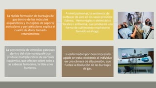 La rápida formación de burbujas de
gas dentro de los músculos
esqueléticos y los tejidos de soporte
auriculares y periarticulares explica el
cuadro de dolor llamado
retorcimiento
A nivel pulmonar, la existencia de
burbujas de aire en los vasos provoca:
Edema, Hemorragias y atelectasias
focales o enfisema, que producen una
forma de sufrimiento respiratorio
llamado el ahogo.
La persistencia de embolias gaseosas
dentro del sistema esquelético
produce múltiples focos de necrosis
isquémica, que afectan sobre todo a
las cabezas femorales, la tibia y los
humeros.
La enfermedad por descompresión
aguda se trata colocando al individuo
en una cámara de alta presión, que
fuerza la disolución de las burbujas
de gas.
 