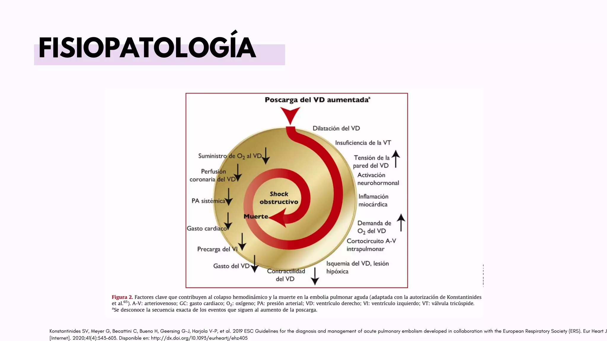 FISIOPATOLOGÍA
Konstantinides SV, Meyer G, Becattini C, Bueno H, Geersing G-J, Harjola V-P, et al. 2019 ESC Guidelines for the diagnosis and management of acute pulmonary embolism developed in collaboration with the European Respiratory Society (ERS). Eur Heart J
[Internet]. 2020;41(4):543–603. Disponible en: http://dx.doi.org/10.1093/eurheartj/ehz405
 