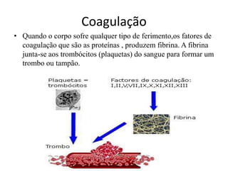 Coagulação
• Quando o corpo sofre qualquer tipo de ferimento,os fatores de
coagulação que são as proteínas , produzem fibrina. A fibrina
junta-se aos trombócitos (plaquetas) do sangue para formar um
trombo ou tampão.
 