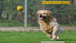 All new apps are dockerized
 