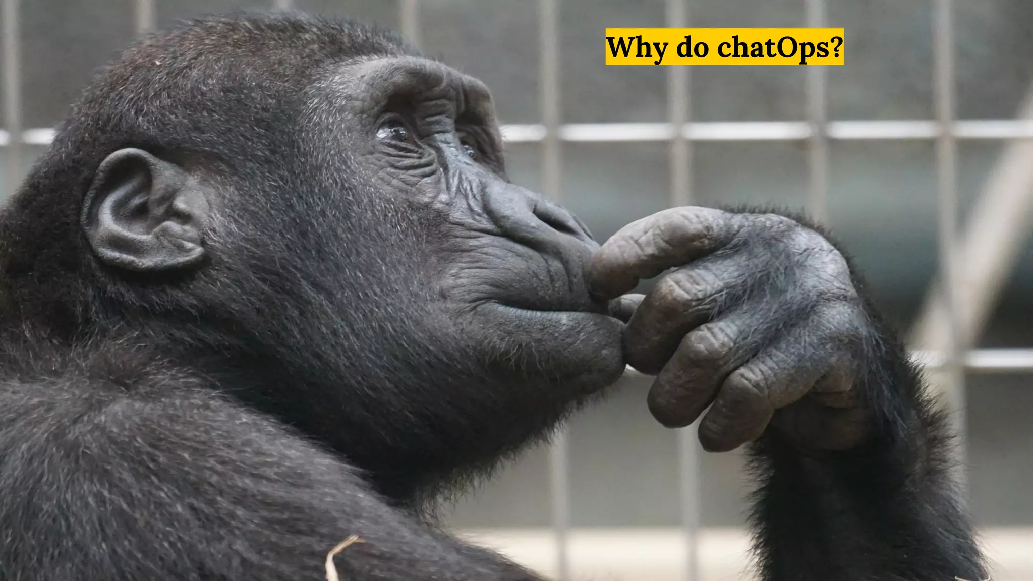 Why do chatOps?
 