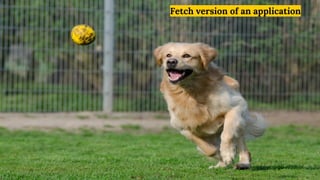 Fetch version of an application
 