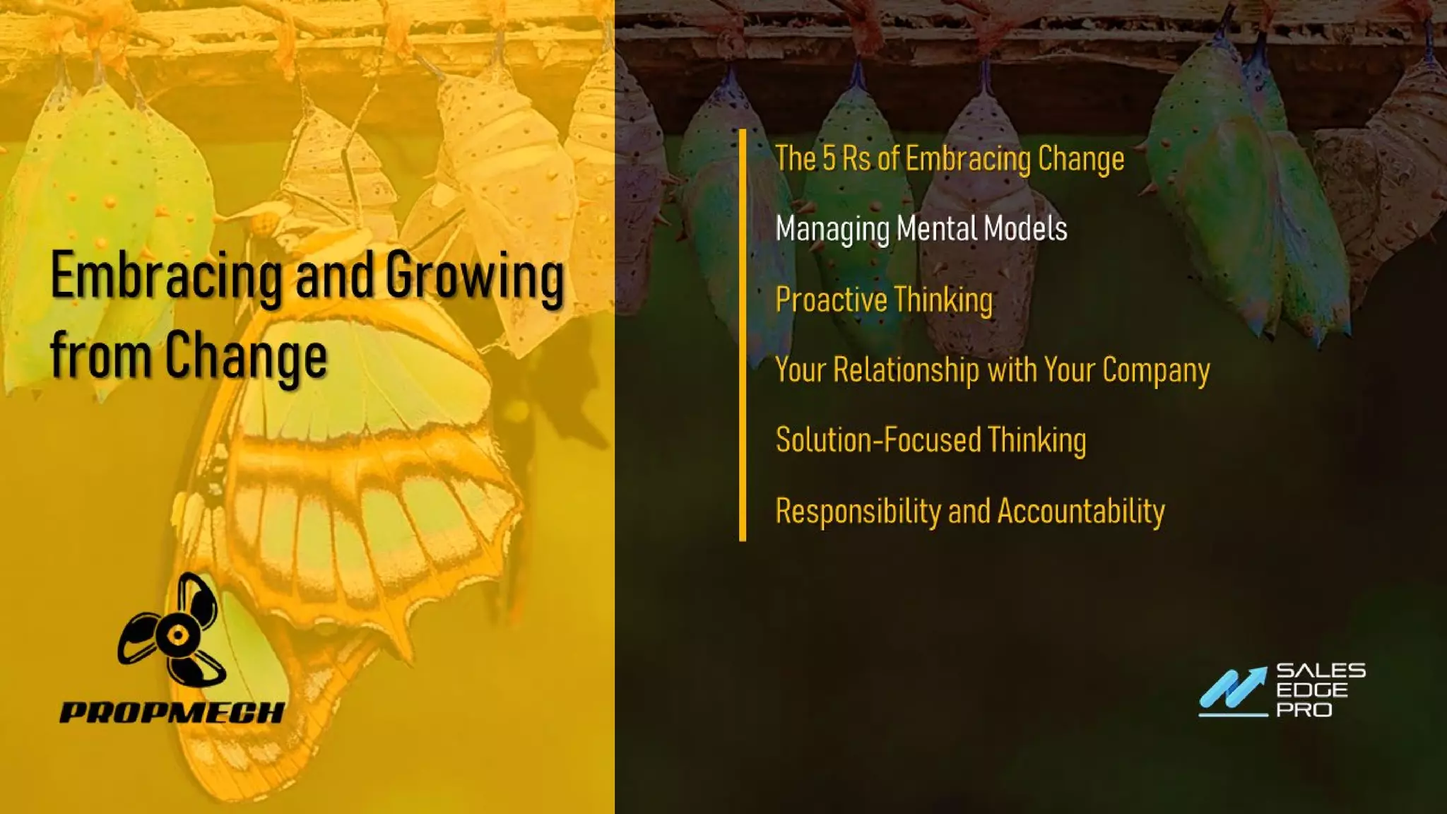 EmbracingandGrowing
fromChange
The5RsofEmbracingChange
ManagingMentalModels
ProactiveThinking
YourRelationshipwithYourCompany
Solution-FocusedThinking
ResponsibilityandAccountability
 