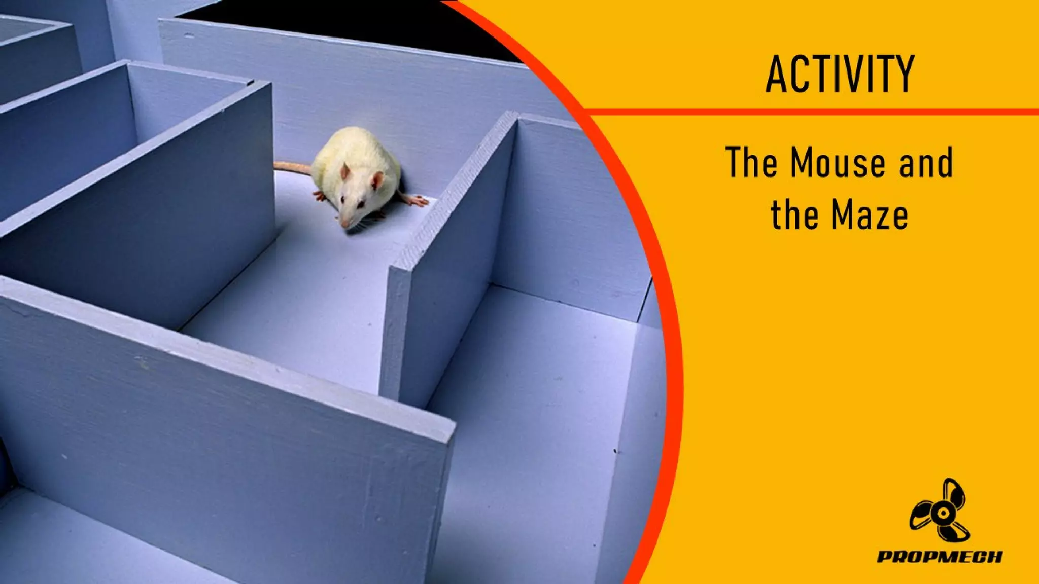 ACTIVITY
TheMouseand
theMaze
 