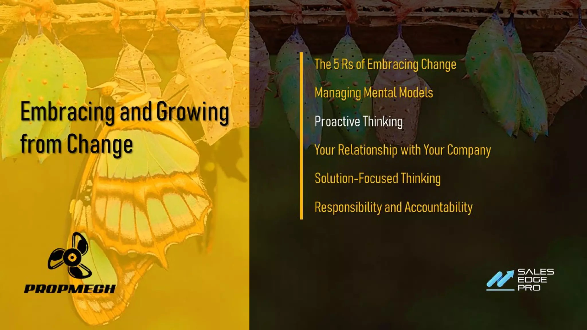 EmbracingandGrowing
fromChange
The5RsofEmbracingChange
ManagingMentalModels
ProactiveThinking
YourRelationshipwithYourCompany
Solution-FocusedThinking
ResponsibilityandAccountability
 