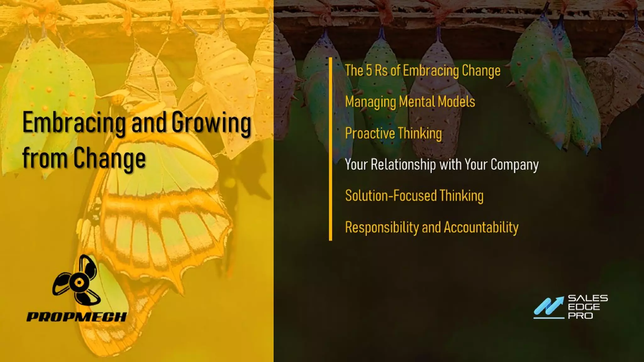 EmbracingandGrowing
fromChange
The5RsofEmbracingChange
ManagingMentalModels
ProactiveThinking
YourRelationshipwithYourCompany
Solution-FocusedThinking
ResponsibilityandAccountability
 