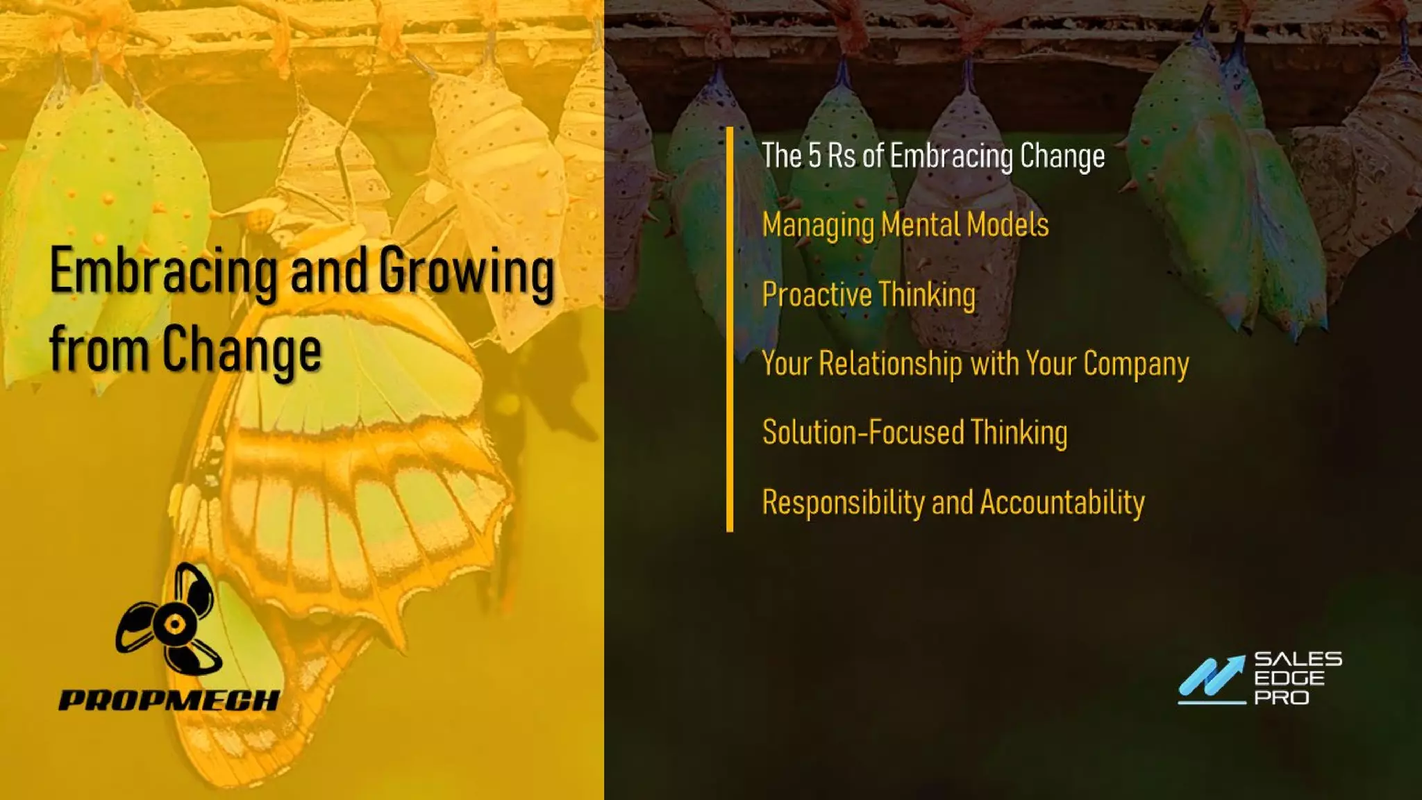 EmbracingandGrowing
fromChange
The5RsofEmbracingChange
ManagingMentalModels
ProactiveThinking
YourRelationshipwithYourCompany
Solution-FocusedThinking
ResponsibilityandAccountability
 