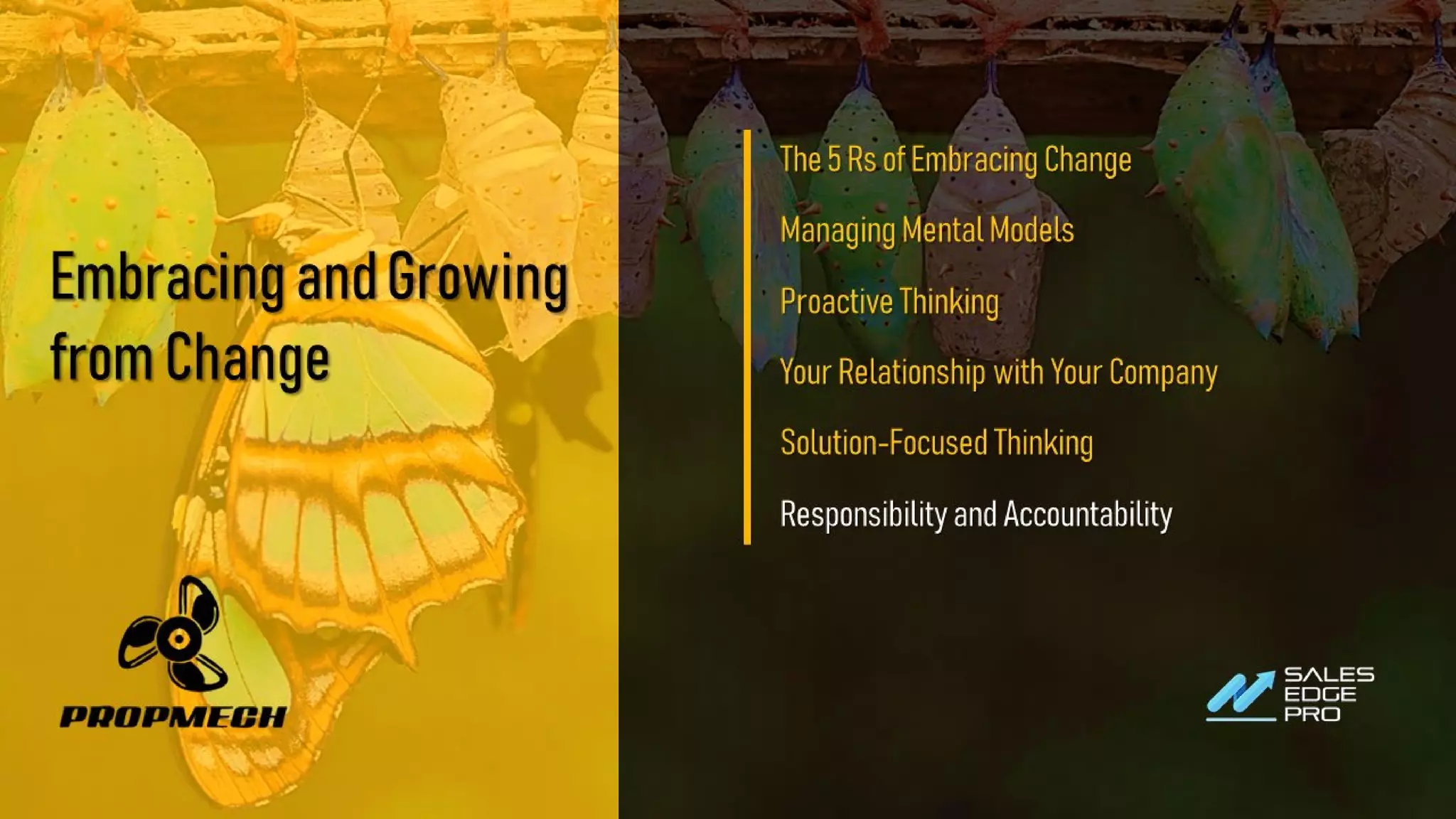 EmbracingandGrowing
fromChange
The5RsofEmbracingChange
ManagingMentalModels
ProactiveThinking
YourRelationshipwithYourCompany
Solution-FocusedThinking
ResponsibilityandAccountability
 