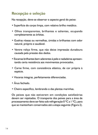 14
Recepção e seleção
Na recepção, deve-se observar o aspecto geral do peixe:
• Superfície do corpo limpa, com relativo brilho metálico.
• Olhos transparentes, brilhantes e salientes, ocupando
completamente as órbitas.
• Guelras róseas ou vermelhas, úmidas e brilhantes com odor
natural, próprio e saudável.
• Ventre roliço firme, que não deixe impressão duradoura
causada pela pressão dos dedos.
• Escamas brilhantes bem aderentes à pele e nadadeiras apresen-
tando certa resistência aos movimentos provocados.
• Carne firme, com consistência elástica, de cor própria à
espécie.
• Vísceras íntegras, perfeitamente diferenciadas.
• Ânus fechado.
• Cheiro específico, lembrando o das plantas marinhas.
Os peixes que não estiverem em condições satisfatórias
devem ser rejeitados. O transporte dos peixes para a área de
processamento deve ser feito sob refrigeração 0 ºC a 1 ºC), para
que se mantenham conservados até a etapa seguinte (Figura 2).
 