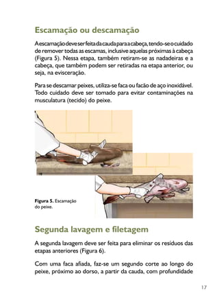 17
Escamação ou descamação
Aescamaçãodeveserfeitadacaudaparaacabeça,tendo-seocuidado
de remover todas as escamas, inclusive aquelas próximas à cabeça
(Figura 5). Nessa etapa, também retiram-se as nadadeiras e a
cabeça, que também podem ser retiradas na etapa anterior, ou
seja, na evisceração.
Para se descamar peixes, utiliza-se faca ou facão de aço inoxidável.
Todo cuidado deve ser tomado para evitar contaminações na
musculatura (tecido) do peixe.
Figura 5. Escamação
do peixe.
Segunda lavagem e filetagem
A segunda lavagem deve ser feita para eliminar os resíduos das
etapas anteriores (Figura 6).
Com uma faca afiada, faz-se um segundo corte ao longo do
peixe, próximo ao dorso, a partir da cauda, com profundidade
 