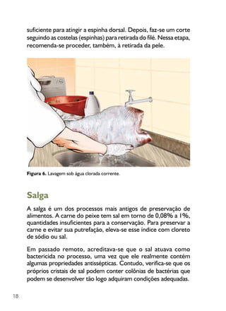 18
suficiente para atingir a espinha dorsal. Depois, faz-se um corte
seguindo as costelas (espinhas) para retirada do filé. Nessa etapa,
recomenda-se proceder, também, à retirada da pele.
Figura 6. Lavagem sob água clorada corrente.
Salga
A salga é um dos processos mais antigos de preservação de
alimentos. A carne do peixe tem sal em torno de 0,08% a 1%,
quantidades insuficientes para a conservação. Para preservar a
carne e evitar sua putrefação, eleva-se esse índice com cloreto
de sódio ou sal.
Em passado remoto, acreditava-se que o sal atuava como
bactericida no processo, uma vez que ele realmente contém
algumas propriedades antissépticas. Contudo, verifica-se que os
próprios cristais de sal podem conter colônias de bactérias que
podem se desenvolver tão logo adquiram condições adequadas.
 