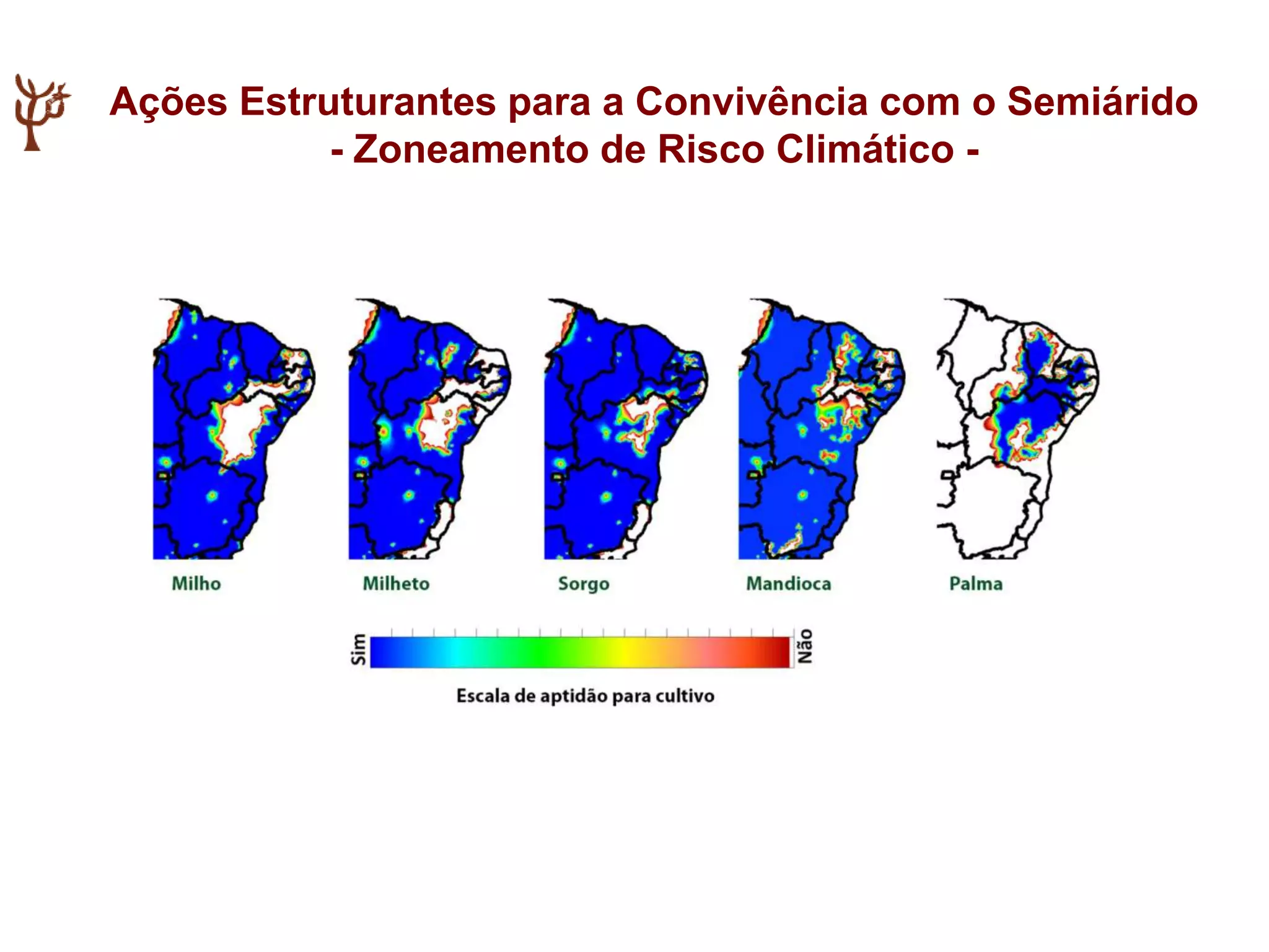Ações Estruturantes para a Convivência com o Semiárido
- Zoneamento de Risco Climático -